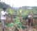 Agricultural Developement