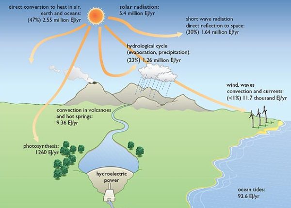 renewable-resources-and-its-importance-conserve-earth-foundation